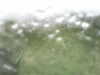 20200907-MOVI0001-frame0002.jpg
