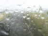 20200907-MOVI0001-frame0003.jpg