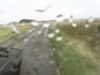 20200907-MOVI0002-frame0003.jpg