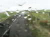 20200907-MOVI0002-frame0004.jpg