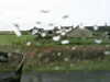 20200907-MOVI0003-frame0002.jpg
