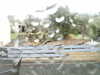 20200907-MOVI0003-frame0003.jpg