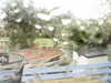 20200907-MOVI0003-frame0004.jpg