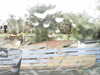 20200907-MOVI0003-frame0005.jpg