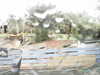 20200907-MOVI0004-frame0002.jpg