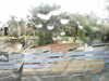 20200907-MOVI0004-frame0004.jpg