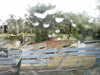 20200907-MOVI0004-frame0005.jpg