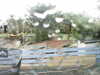 20200907-MOVI0005-frame0003.jpg