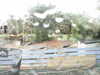 20200907-MOVI0005-frame0004.jpg