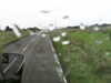 20200907-MOVI0006-frame0003.jpg