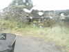 20200907-MOVI0008-frame0003.jpg