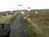 20200907-MOVI0010-frame0001.jpg