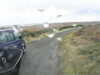 20200907-MOVI0010-frame0005.jpg