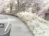 20200907-MOVI0022-frame0003.jpg