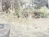 20200907-MOVI0024-frame0004.jpg