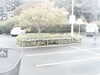 20200907-MOVI0024-frame0005.jpg
