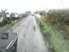 20200907-MOVI0035-frame0004.jpg
