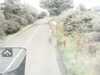 20200907-MOVI0037-frame0005.jpg