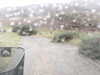 20200907-MOVI0050-frame0005.jpg