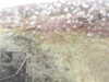 20200907-MOVI0051-frame0003.jpg