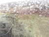 20200907-MOVI0051-frame0004.jpg