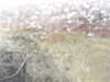 20200907-MOVI0051-frame0005.jpg