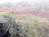 20200908-MOVI0000-frame0002.jpg
