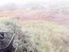 20200908-MOVI0000-frame0003.jpg