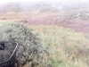 20200908-MOVI0000-frame0005.jpg
