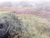 20200908-MOVI0001-frame0001.jpg