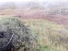 20200908-MOVI0001-frame0002.jpg