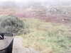 20200908-MOVI0001-frame0004.jpg