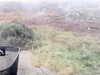 20200908-MOVI0002-frame0001.jpg