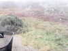 20200908-MOVI0002-frame0002.jpg