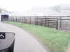 20200908-MOVI0003-frame0002.jpg