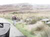 20200908-MOVI0005-frame0004.jpg