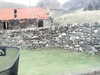 20200908-MOVI0007-frame0004.jpg