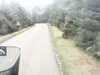 20200908-MOVI0011-frame0002.jpg