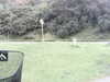 20200908-MOVI0014-frame0002.jpg