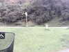 20200908-MOVI0018-frame0004.jpg