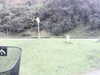 20200908-MOVI0018-frame0005.jpg