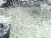 20200908-MOVI0020-frame0001.jpg