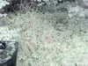 20200908-MOVI0020-frame0002.jpg
