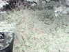 20200908-MOVI0020-frame0003.jpg