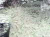 20200908-MOVI0020-frame0004.jpg
