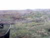 20200908-MOVI0025-frame0005.jpg