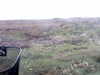 20200908-MOVI0026-frame0004.jpg