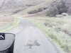 20200908-MOVI0033-frame0001.jpg