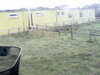 20200908-MOVI0042-frame0005.jpg