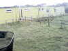 20200908-MOVI0043-frame0001.jpg